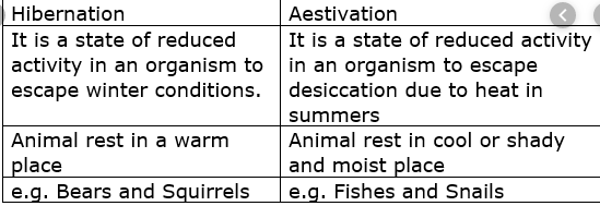 Difference Between Aestivation And Hibernation in biology 
