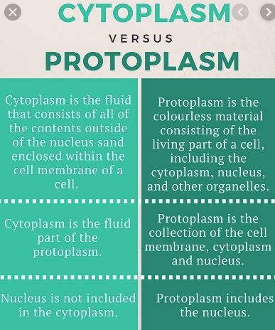 Difference Between Cytoplasm And Protoplasm