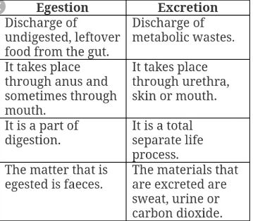Difference Between Egestion And Excretion