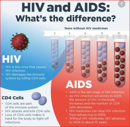 Difference Between HIV and AIDS