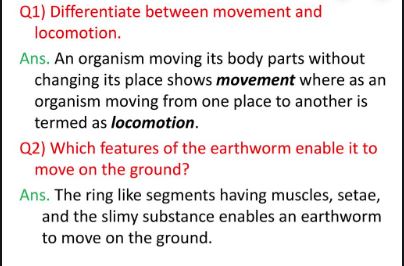 Difference Between Locomotion And Movement