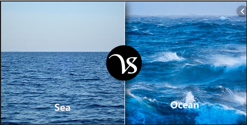 Difference Between Ocean and Sea