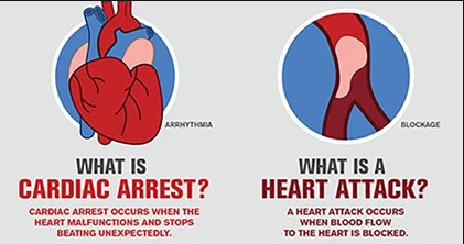 Difference between Heart Attack and Cardiac Arrest