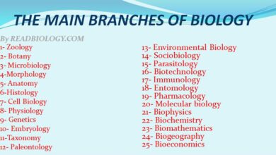 THE MAIN BRANCHES OF BIOLOGY