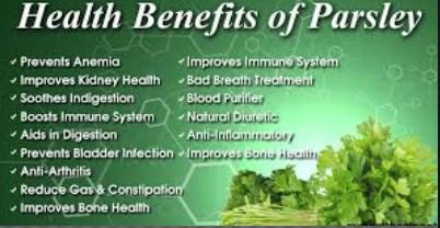 Benefits of Parsley