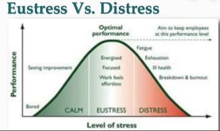 Difference Between Distress AND Eustress