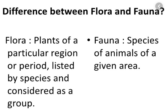 Flora And Fauna Class 8 Notes