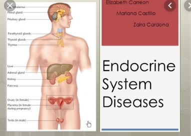 Diseases of Endocrine System