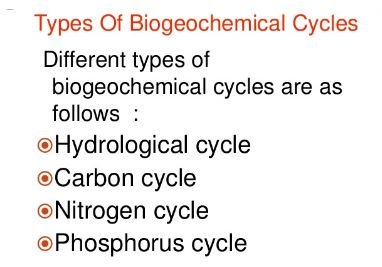 Types of biogeochemical cycles