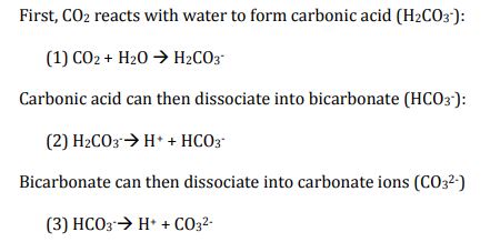 reaction of carbon dioxide in sea