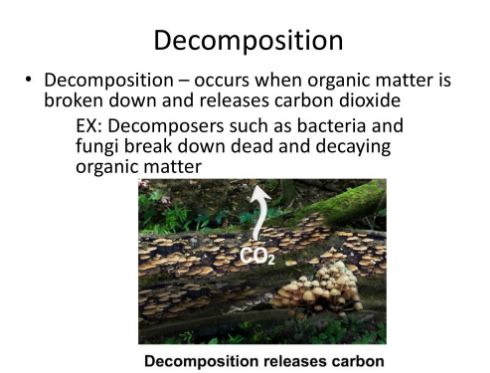 Decomposition release carbon dioxide gas in atmosphere