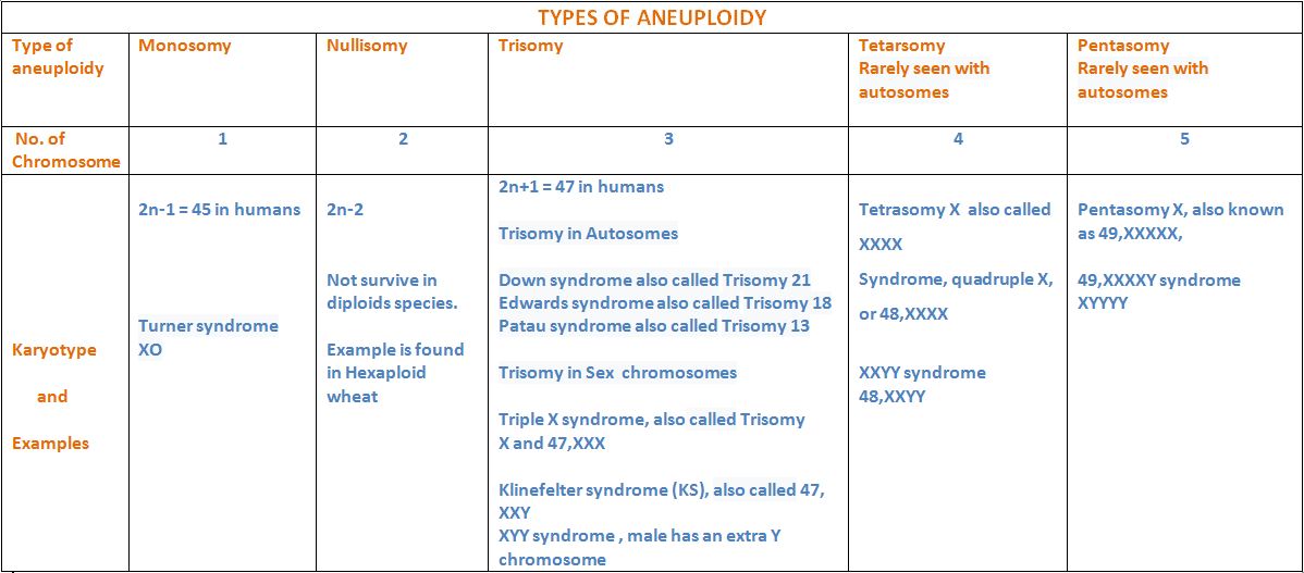 aneuploidy-definition-types-and-disorders-readbiology-com