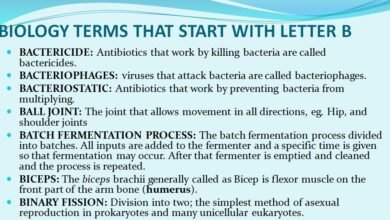 Biology terms that start with b