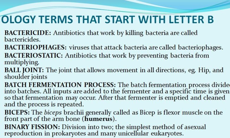 list-of-important-biology-terms-that-start-with-alphabet-b-readbiology