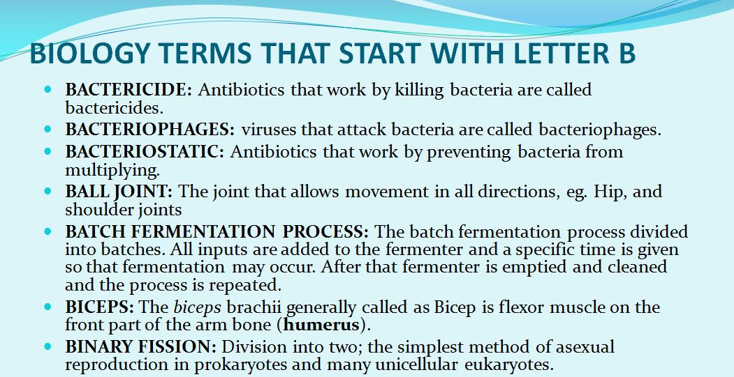 List Of Important Biology Terms That Start With Alphabet B Readbiology