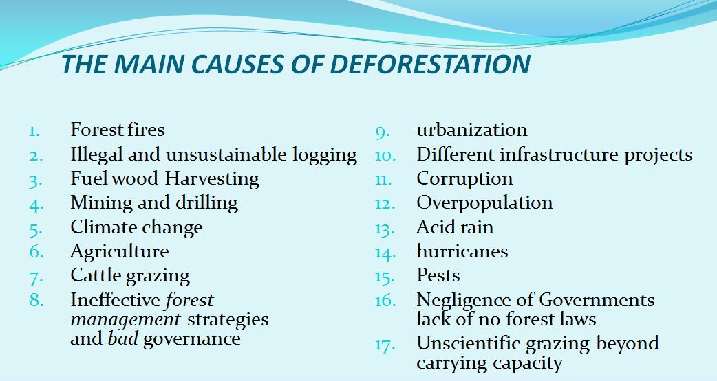 What Are The 16 Main Causes Of Deforestation READBIOLOGY COM