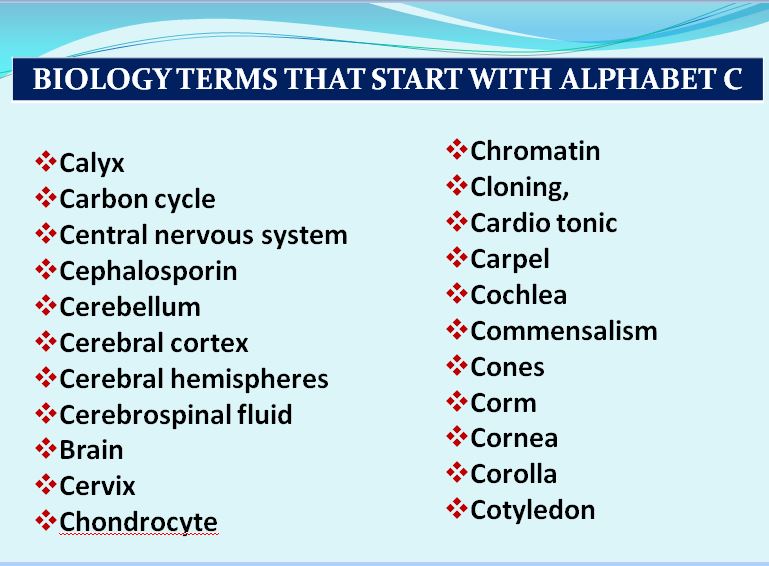 7th Grade Science Terms That Start With K