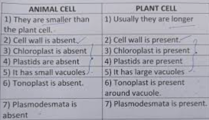 Difference between plant cell and animal cell